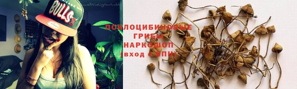 амфетамин Медногорск