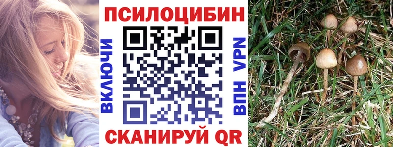 Псилоцибиновые грибы Psilocybe  Купить закладки  Сызрань 